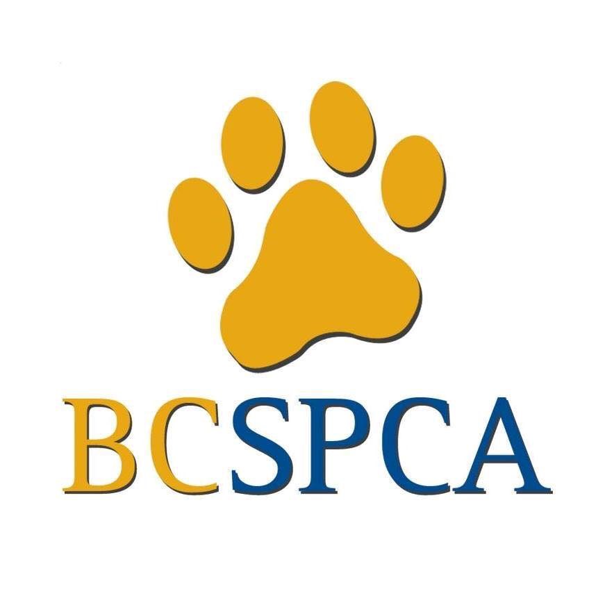 BC SPCA