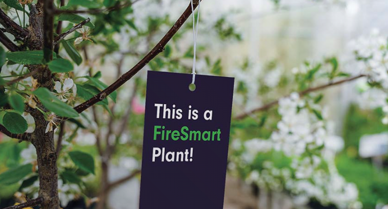 FireSmart plant