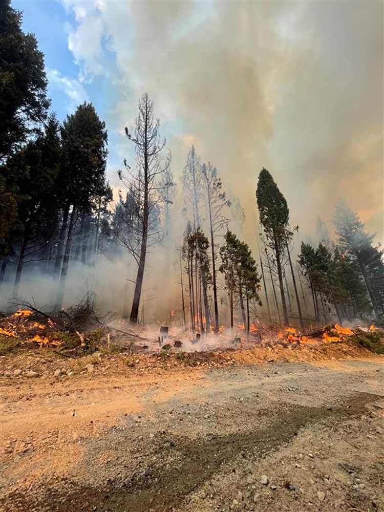 ross-moore-lake-wildfire-aug-1-23