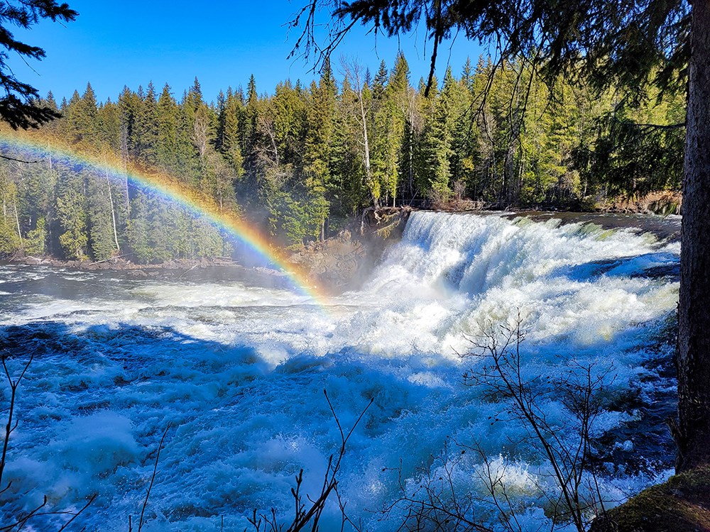 Exploring Wells Gray Park — once again