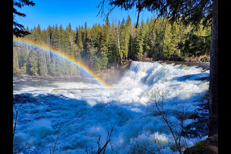 Dawson Falls from the south side most always offers a spectacular view complete with a picturesque rainbow.
