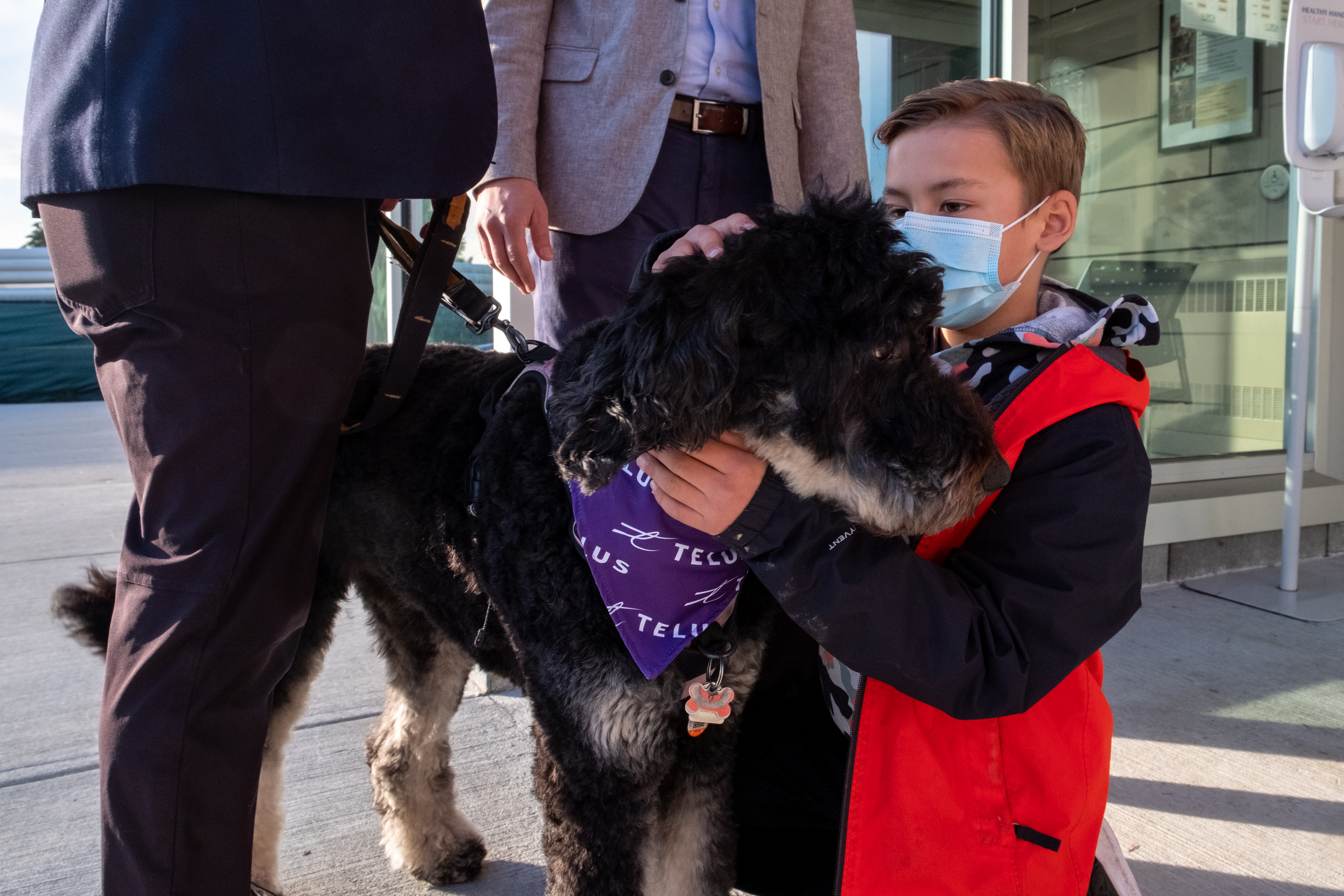 Virtual health care app for pets makes adopting easy - Kamloops This Week Virtual health care app for pets makes adopting easy - Kamloops This Week