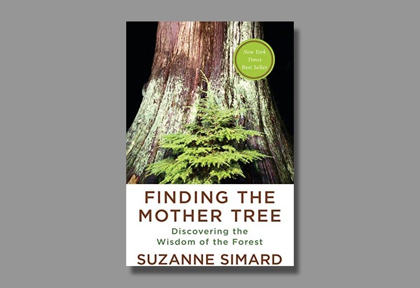 wisdom-of-the-forest-suzanne-simard-tnrl
