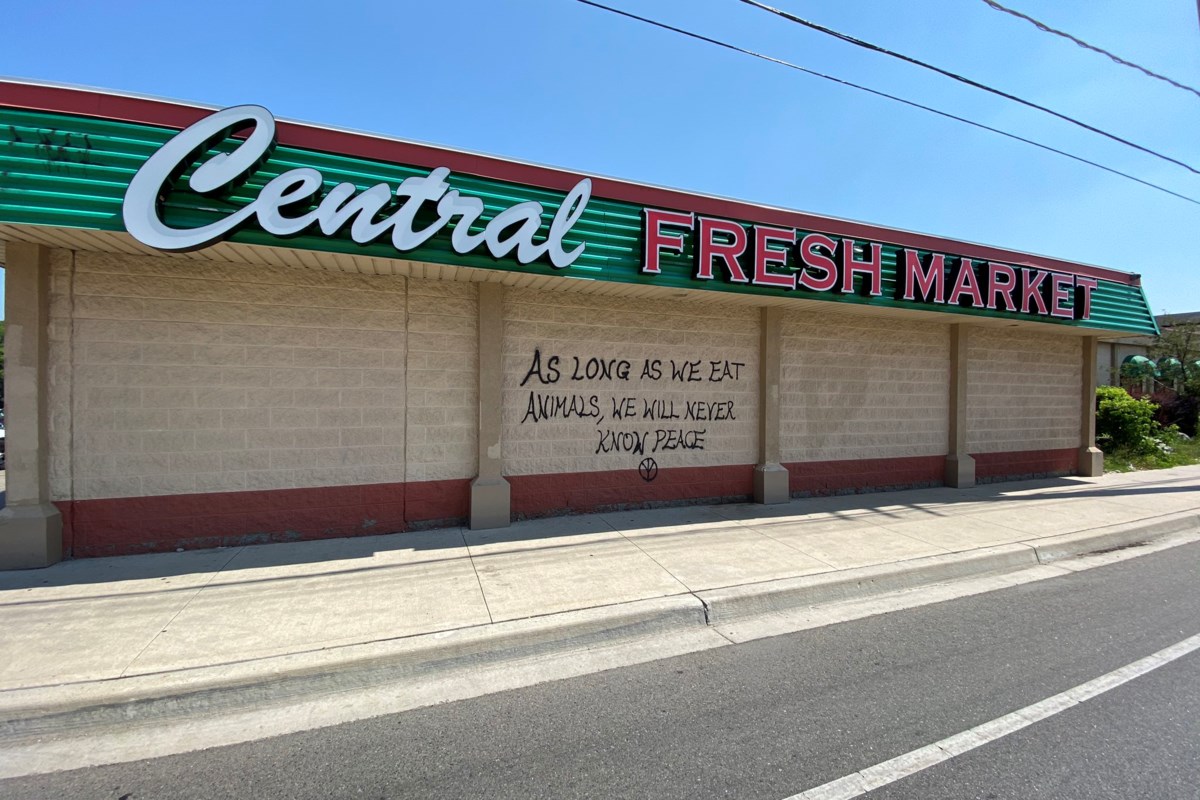 Central Fresh Market looking for local artists CityNews Kitchener