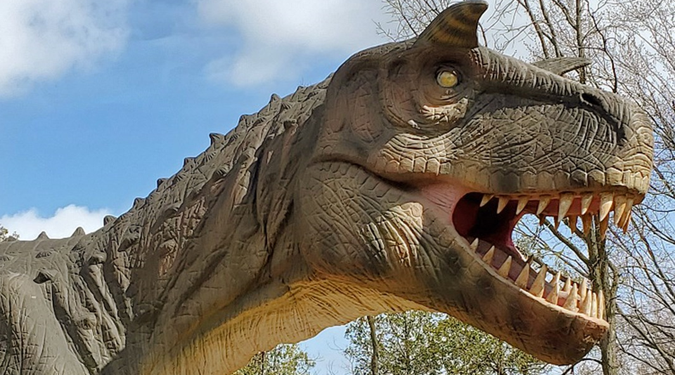 drive through dino safari