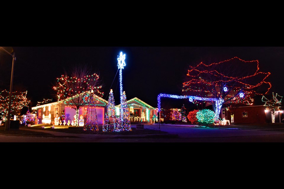Waterloo Park Christmas Lights 2024 Tickets Orsa Trenna