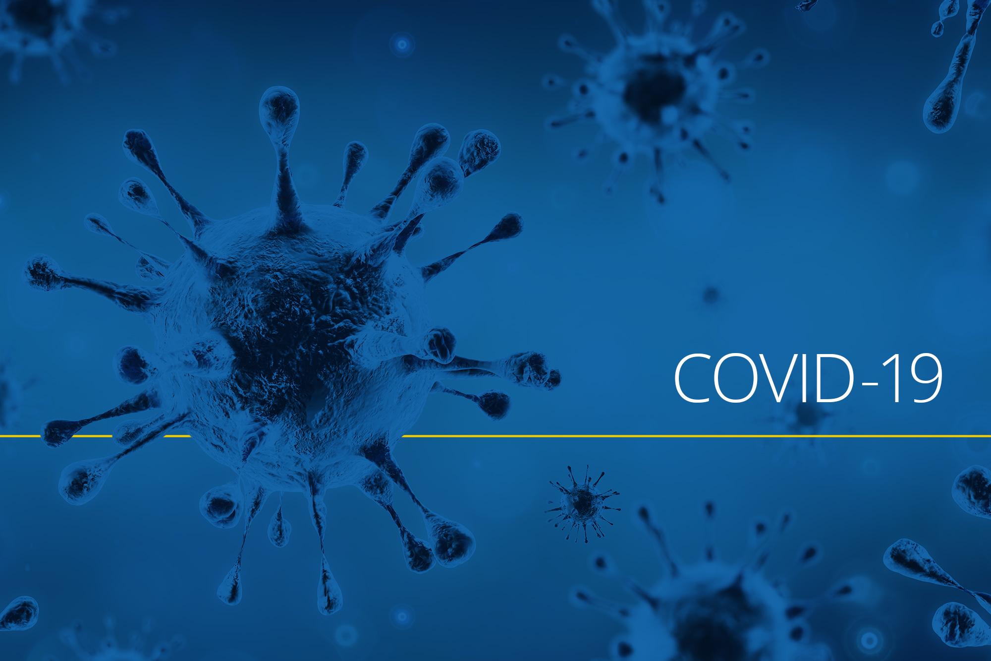 Coronavirus (COVID-19) - Lakeland News and Information - LakelandToday.ca