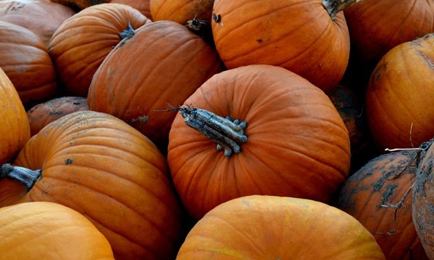 Pumpkins