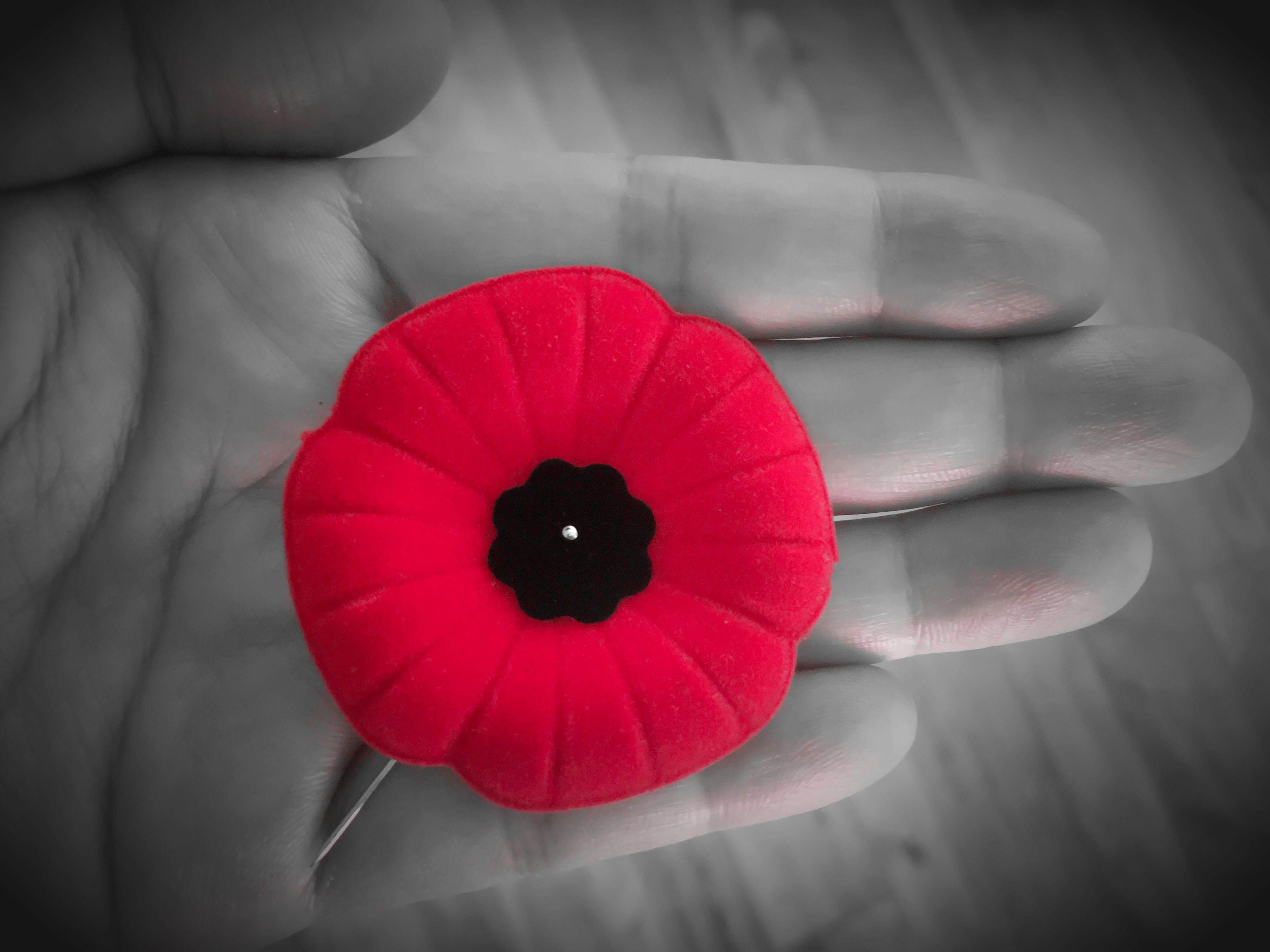Legion's poppy campaign supports local veterans - Newmarket News