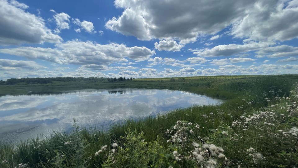 southern-ontario-wetlands