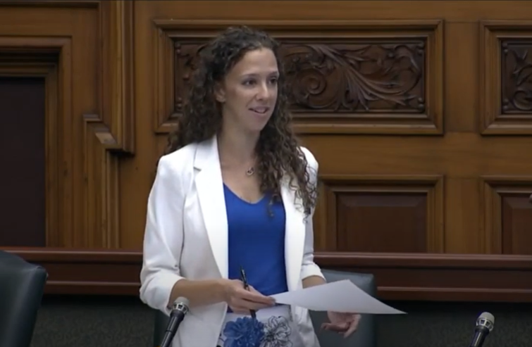 Belinda Karahalios in the Legislature / YouTube