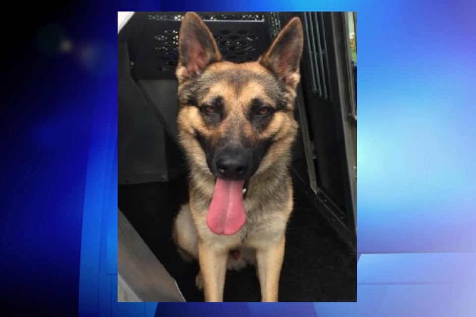 PSD Ranger