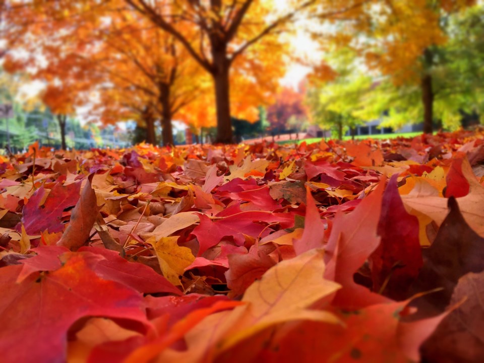 Things Starting To Cool Off As Summer Turns To Fall