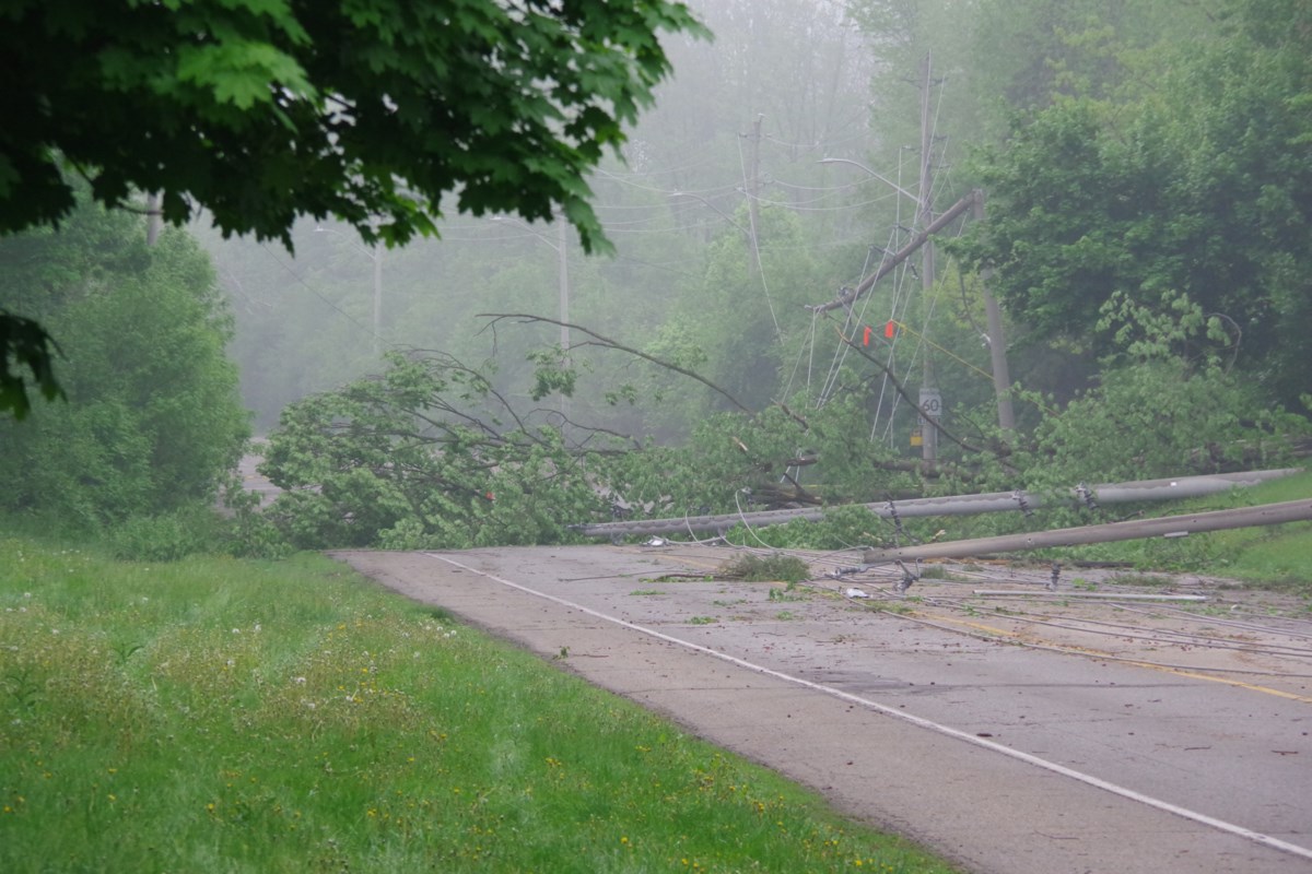 Kitchener helping residents with storm clean-up
