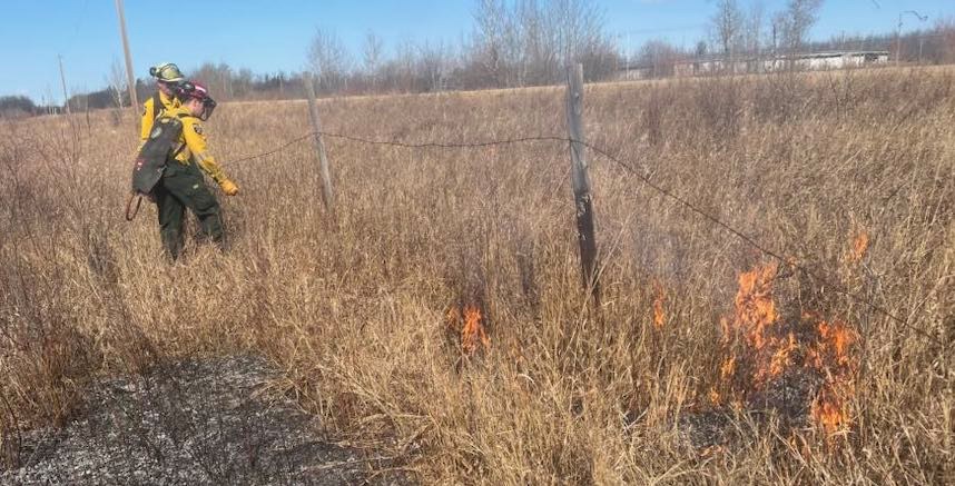 Members of a crew with Alberta Wildfire doing controlled burns in an area within Beaver Lake Cree Nation. Shane Bair photo. 