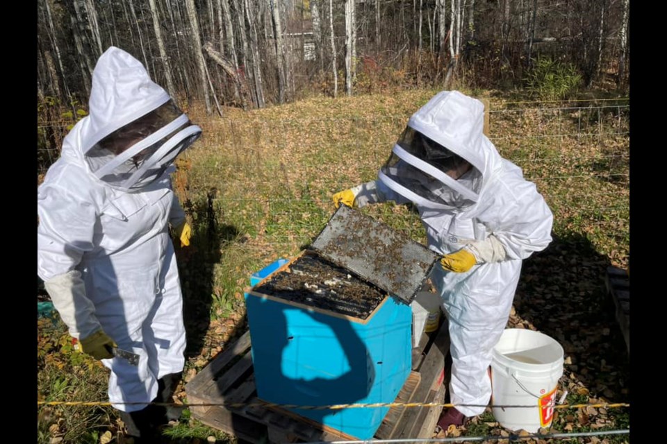 Members of the club moving Bees.