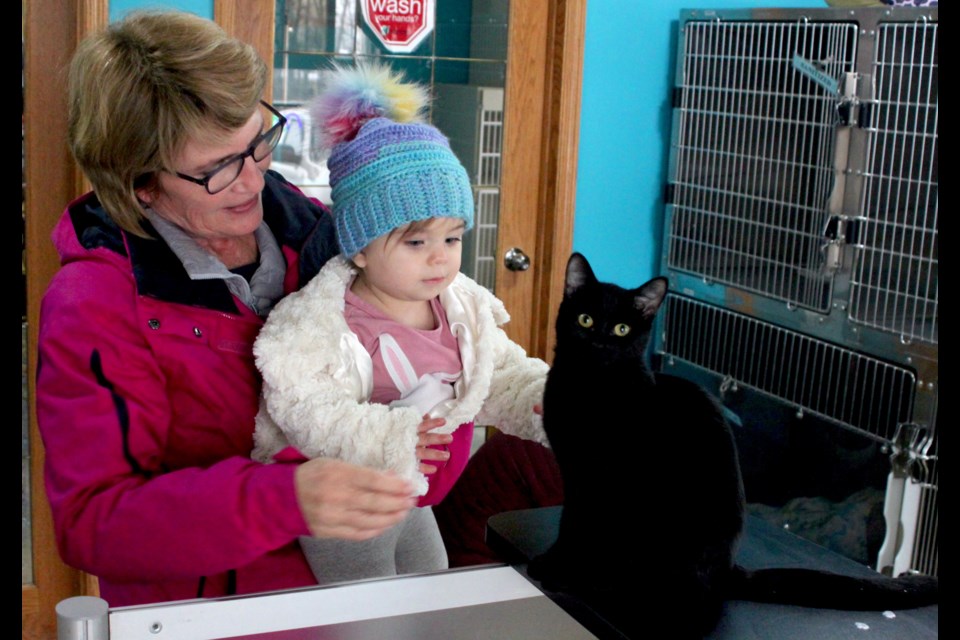 Emily, who is being held by her grandmother, Karin Theroa, was quite impressed with this black cat named Kaala who walked around greeting people as they came into the Lac La Biche Regional Humane Society for the open house on Saturday. Chris McGarry photo.


