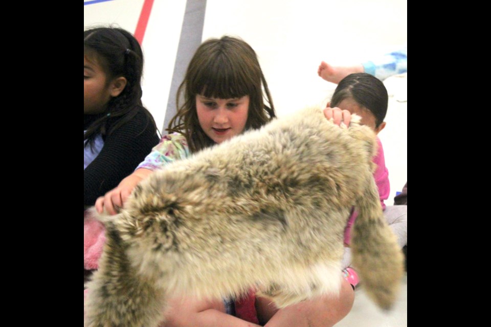 Brook Bobocel was quite impressed by this coyote hide being passed amongst the group of kids she’d joined for Friday’s presentation about animal tracks, hides and Cree language skills at the Bold Center. Chris McGarry photo.
