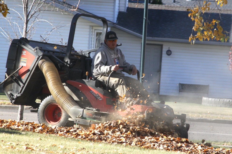 Another pile of leaves sucked up by crews working at the Provincial Building property this week. With cooler temperatures and strong winds in the last few days, most of the autumn colours have hit the ground across the Lakeland.