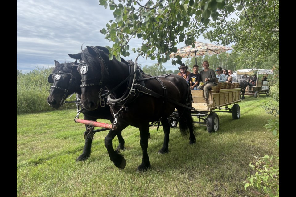 Participants from Lakeland took full advantage of the horse-drawn carriage rides at Cowboy Town in Ardmore, as they enjoyed family time.

Photo/ Chantel Downes