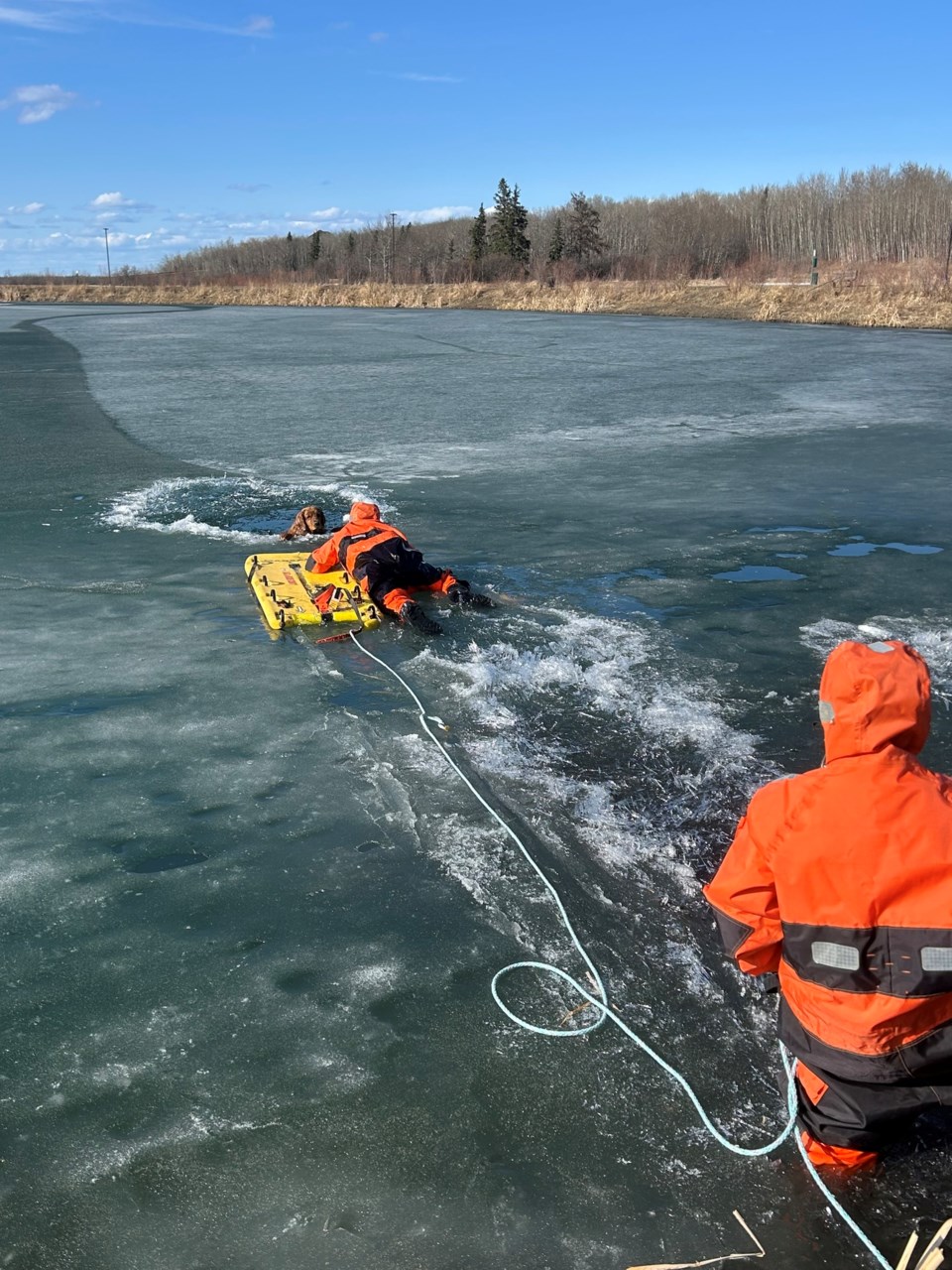 dog-ice-rescue