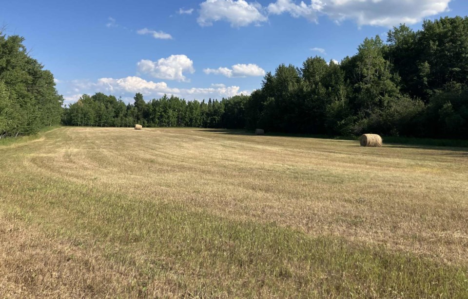 dry-agricultural-fields-in-llb-county-for-column-them-times