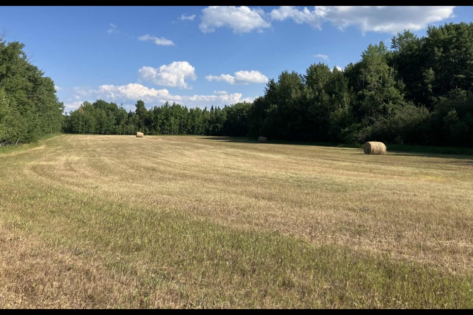 Dry agricultural land in Lac La Biche County. Chris McGarry photo. 