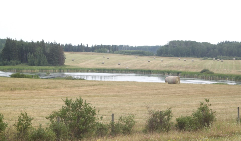 farmland-llb-county-adjacent-to-wetland