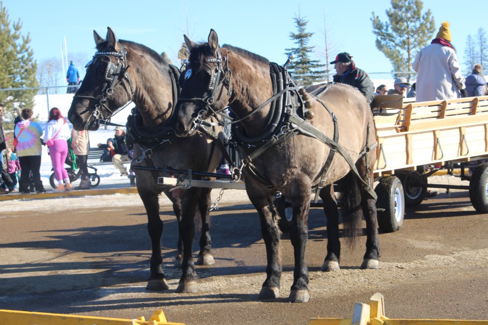 Horse carriage rides at the Thomas Varughese memorial field behind the Cold Lake Energy Centre.