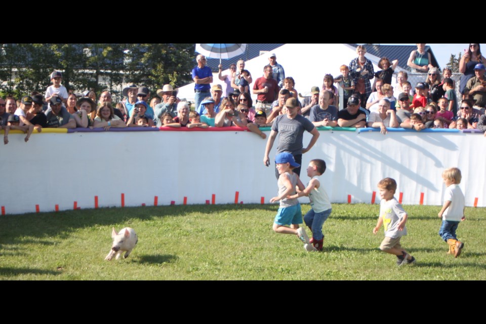 A group of youngsters participate in the pig catching competition that took place on the evening of Aug. 23 for the 2025 edition of Hylo Harvest Days. The two-day event, which took place inside and on the grounds of the Hylo Community Centre, featured a horticultural show, pancake breakfast, a classic car show ‘n’ shine, chicken poop bingo, and a parade. Chris McGarry photo. 