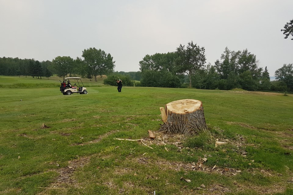 Golfers return to the greens after old growth trees toppled at Lac La Biche Golf Club during severe storm that swept through the region on July 10. Photo by Jazmin Tremblay.