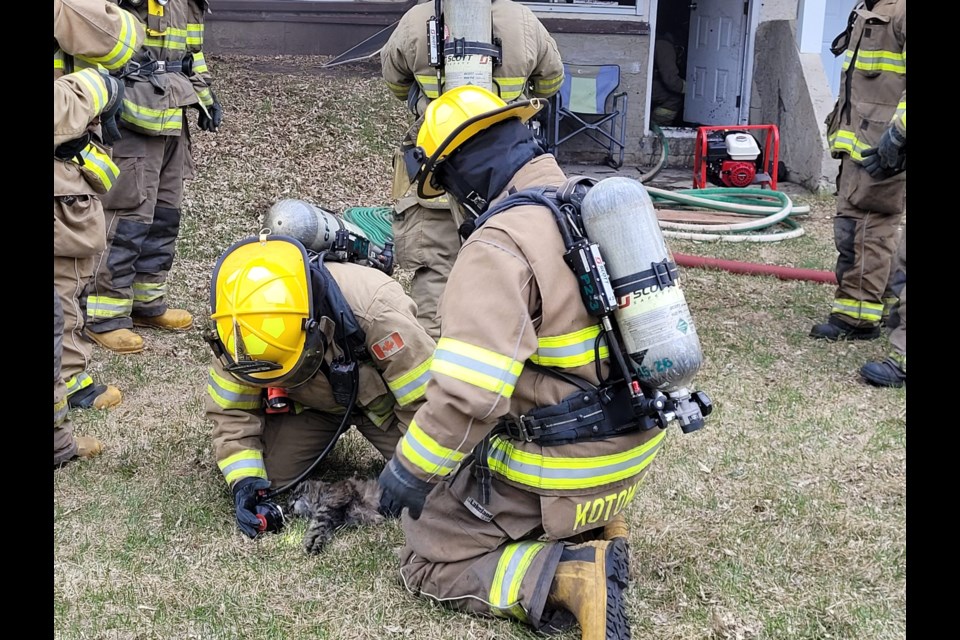 St. Paul firefighters give oxygen to a pet cat, May 6.