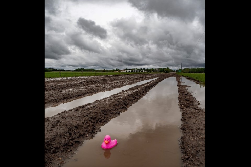 Atmore area's Andron Frolov sent the POST this image of road conditions in the rural areas near Lac La Biche County's western boundaries. Due to saturated ground and the threat of more floods, Lac La Biche County reamins under a State of Local Emergency.    Image: Anton Frolov
