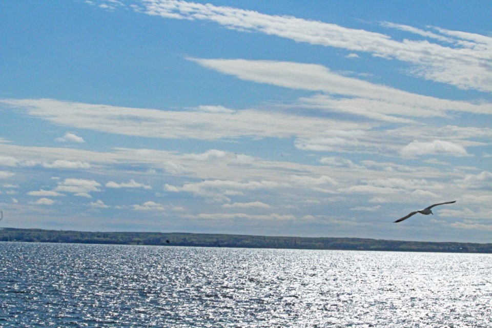 A gull flies over the Churchill Provincial Park causeway and Lac la Biche lake  ... have we used this photo before?  Days of the week and photos are all blurring together during COVID. Oh well, it's nice enough to see again ... if it was already used. :)  
Photo: Rob McKinley  