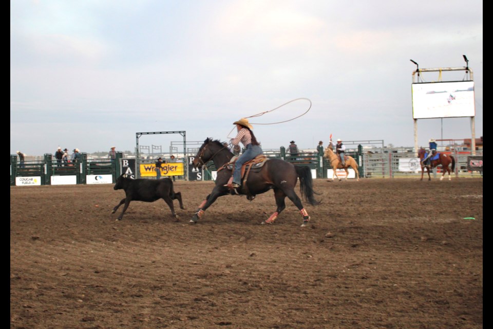 A cowgirl ropes a steer during the Bonnyville Pro Rodeo & Chuckwagon Racing event.