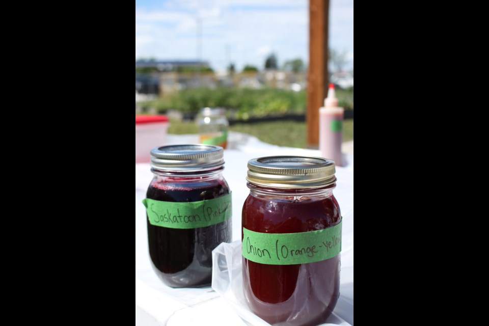 LICA supplied their home made botanical dyes for their tie-dye workshop.