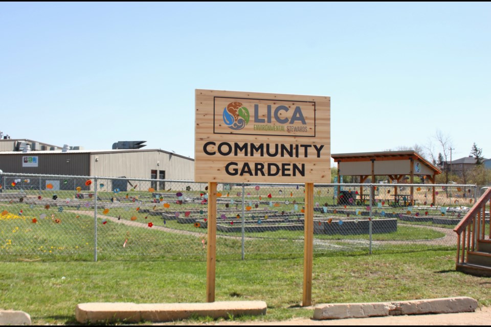 Bonnyville's Community Garden has plots available for local garden enthusiasts. Tools and seeds are available to gardeners, as well as educational workshops.