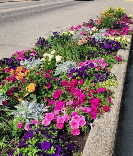 flowersbonnyville