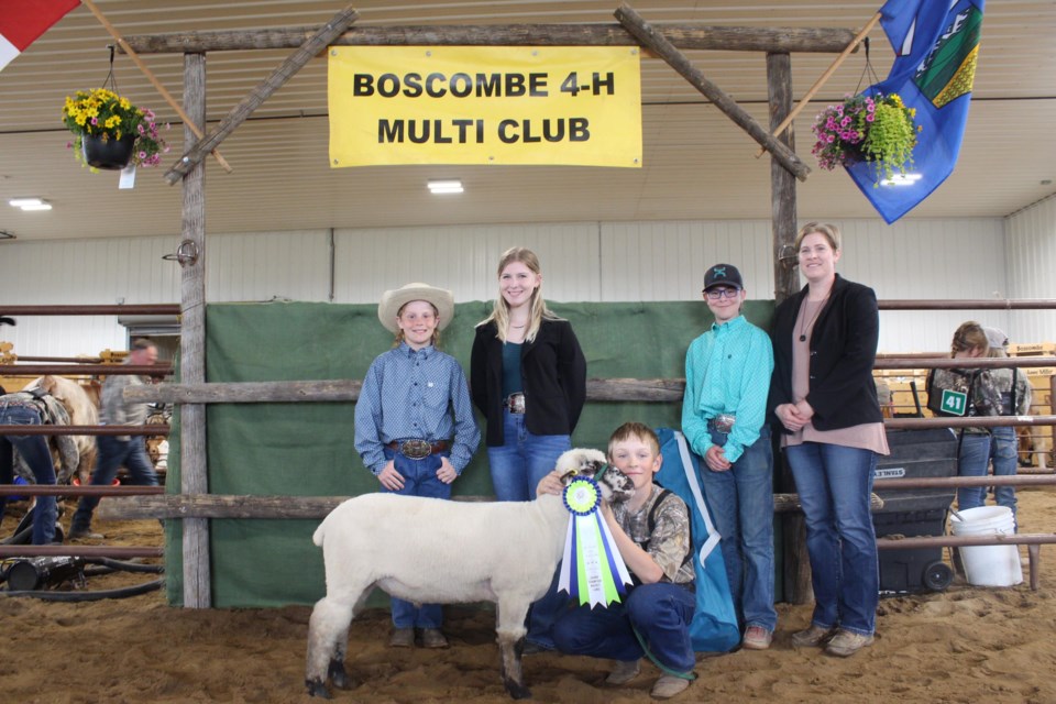 Bryce Michaud won grand champion for the Boscombe 4-H Multi Club's sheep project.