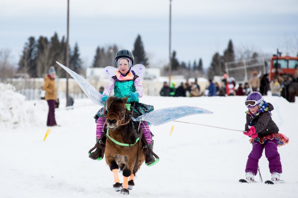 In the Youth Category, a rider in costume pulls a "slider" on a miniature horse. 