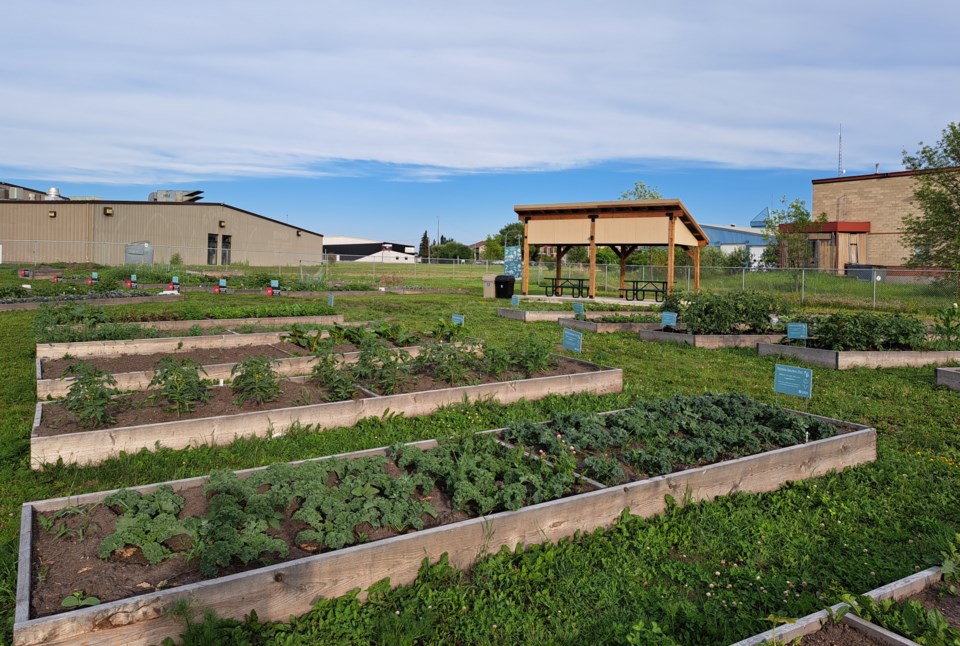 5july-lica-community-garden