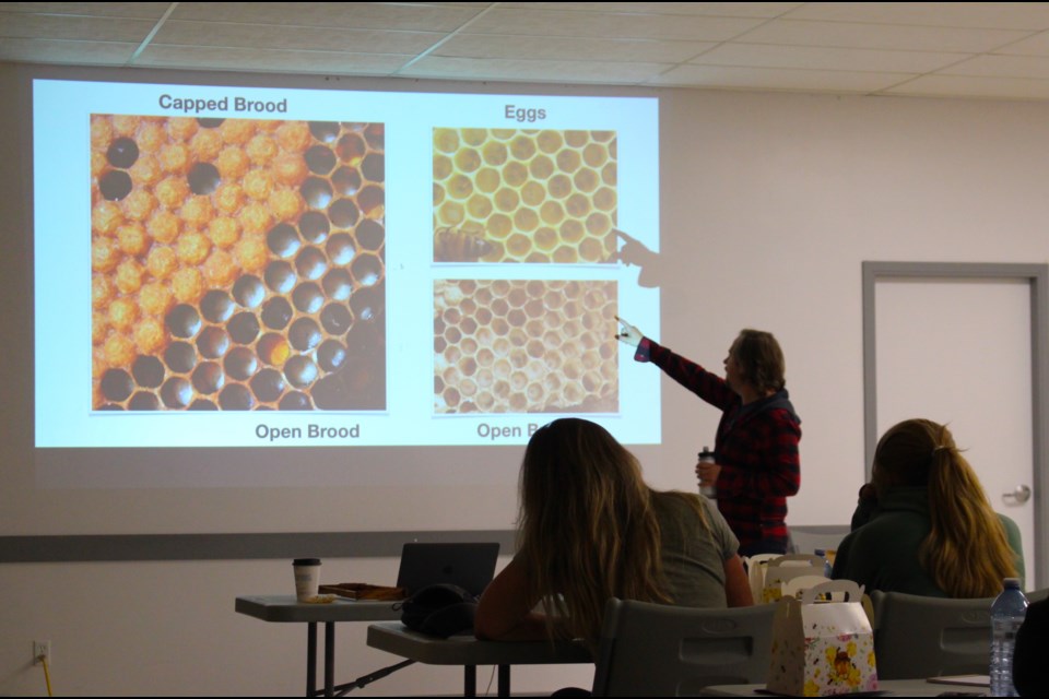 Beekeeper educator Dustin Bajer introduces an in depth look at a honeybee hive to help those participating in the MD of Bonnyville's ABC's of Bees workshop understand the components of a healthy hive.