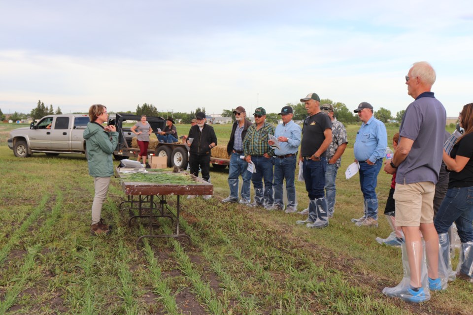 Sheri Strydhorst presenting on crop staging and diagnostics. 