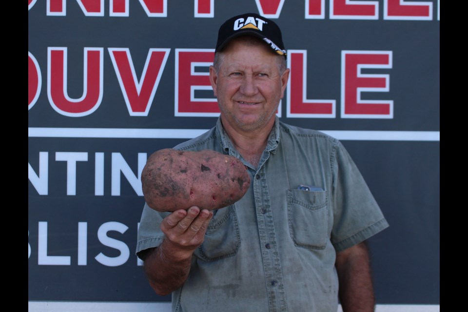 Bonnyville resident Jim Bodnar, shows off his giant 4.5lbs red skinned potato that he hauled out of his garden this fall.