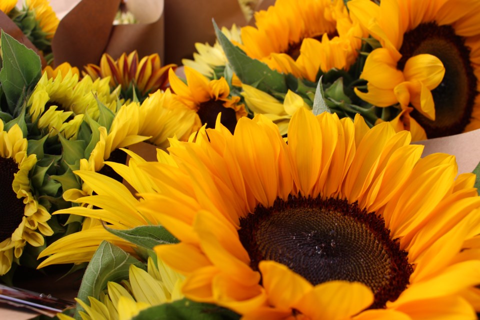 Priscilla Wells' favourite flower are sunflowers, recalls her mother Violet Wells.