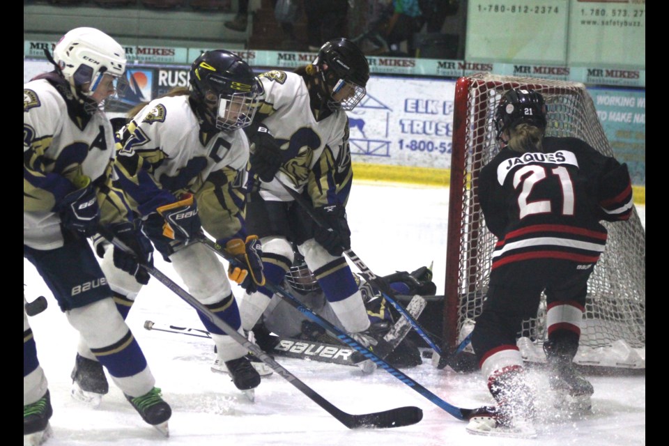 A Lakeland Jags player is successful in getting a wrap around goal, tucking the puck from behind in the left side of the net.