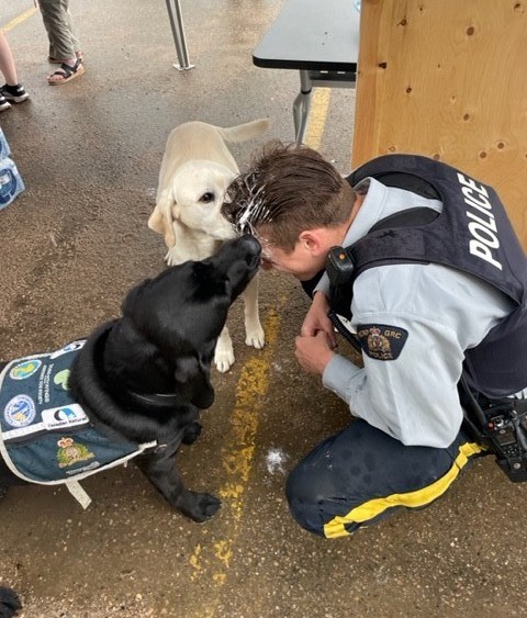 Bonnyville Victim Services dogs, Romeo and Odie, assist in clean up efforts for officer volunteering for the Pie Toss fundraiser.