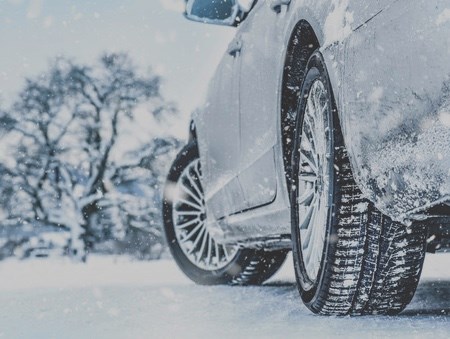 caridling-winter