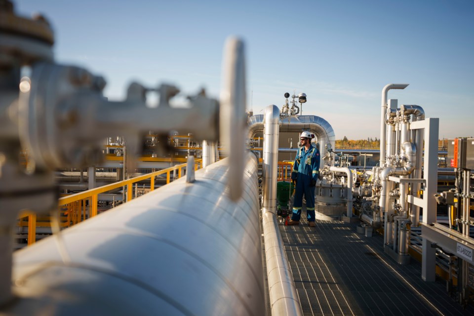 grand_rapids_-_nabiye_plant