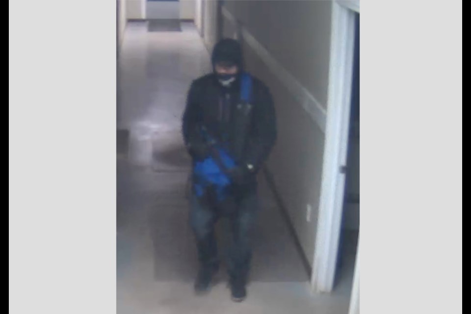 An image of a suspect in the October 27 theft of handguns from a Plamondon business.